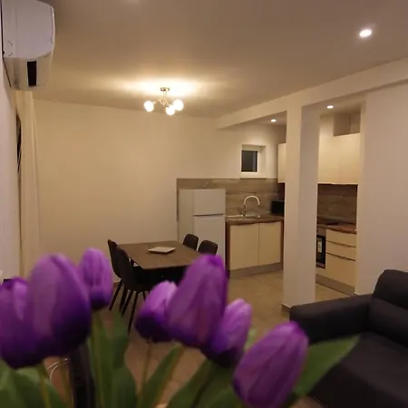 Novi Skrape U Samom Centru S Parkingom Apartman *